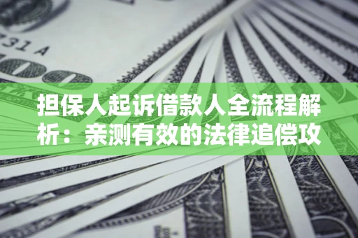 济南担保人起诉借款人全流程解析：亲测有效的法律追偿攻略