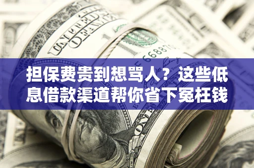 济南担保费贵到想骂人？这些低息借款渠道帮你省下冤枉钱