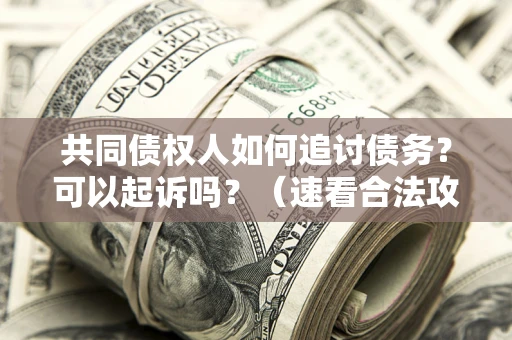 济南共同债权人如何追讨债务？可以起诉吗？（速看合法攻略）
