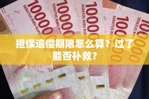 济南担保追偿期限怎么算？过了能否补救？